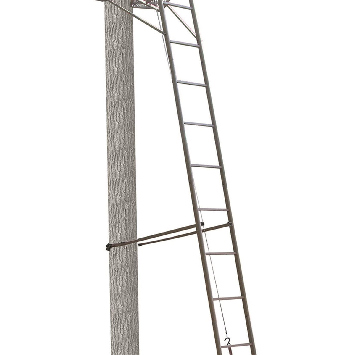 Ladder Stand C7996