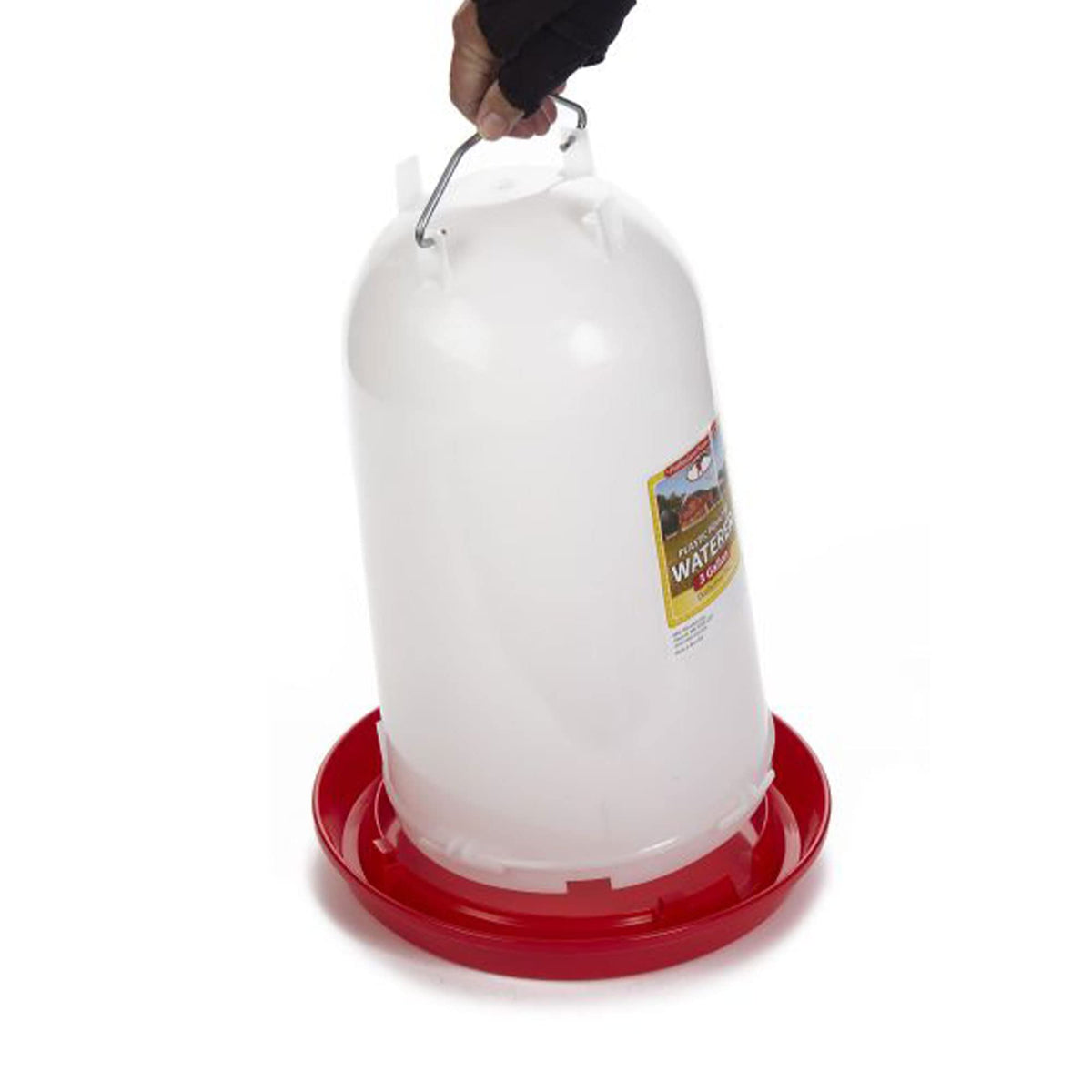 3 Gallon Plastic Gravity Fed Waterer 4-Pack P20693