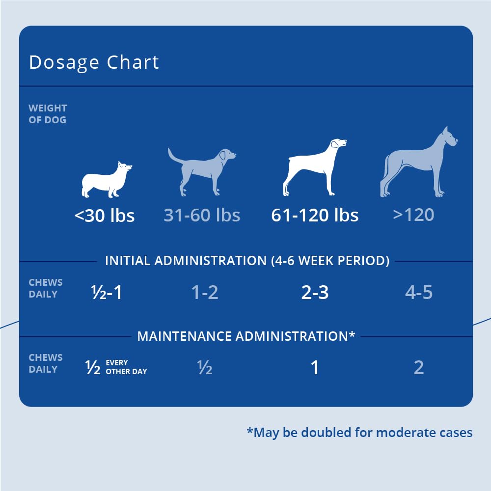 Joint Supplement Soft Chews for Dogs, 90 Chews X9920