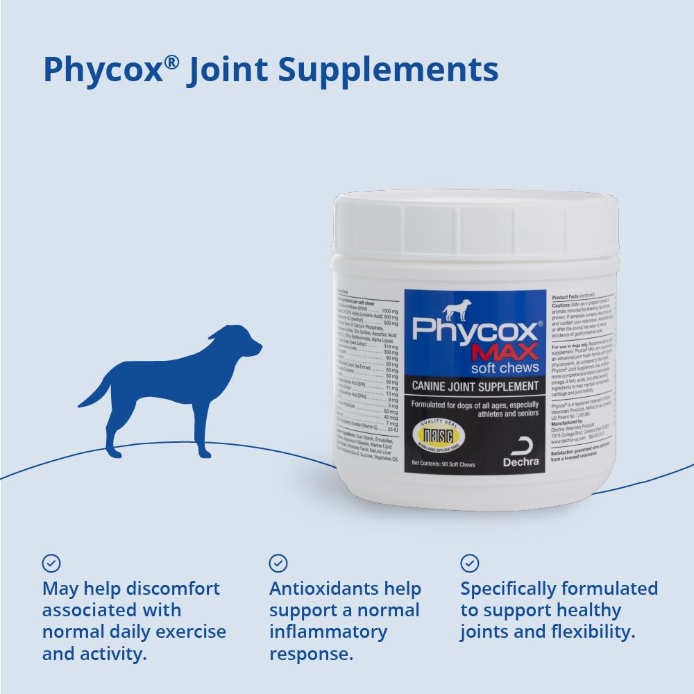 Joint Supplement Soft Chews for Dogs, 90 Chews X9920
