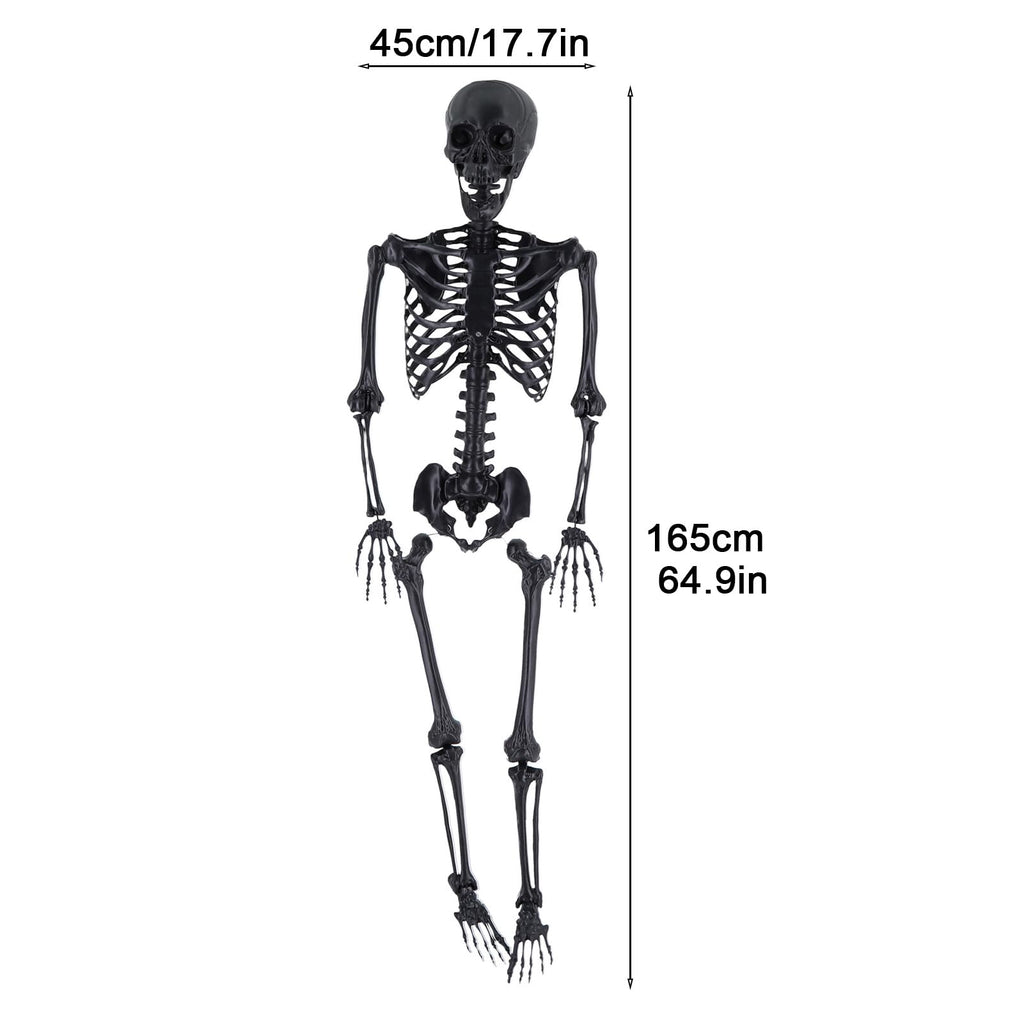 Life Size Posable Plastic Skeleton K3406