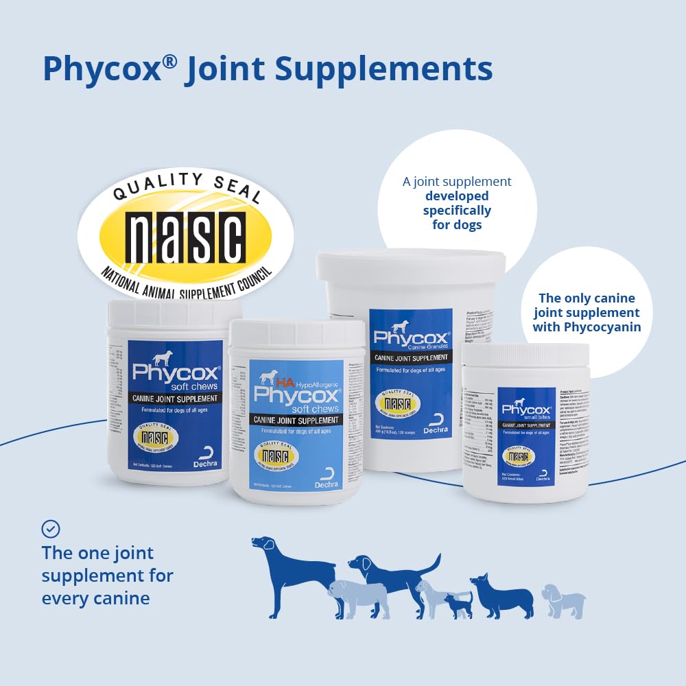 Joint Supplement Soft Chews for Dogs, 90 Chews X9920