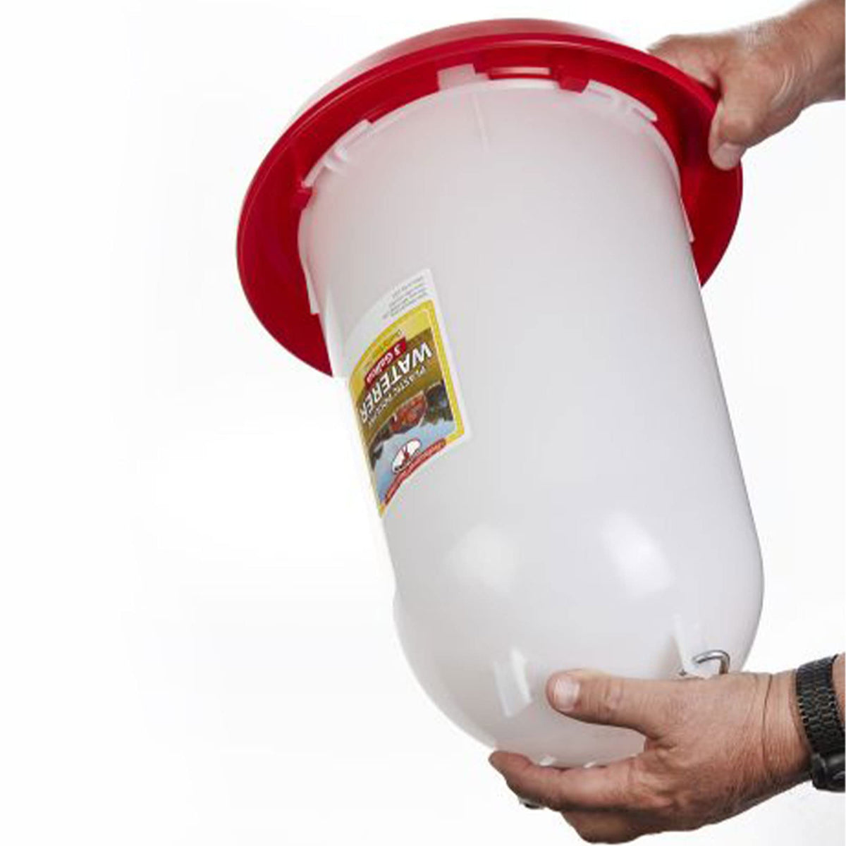 3 Gallon Plastic Gravity Fed Waterer 4-Pack P20693