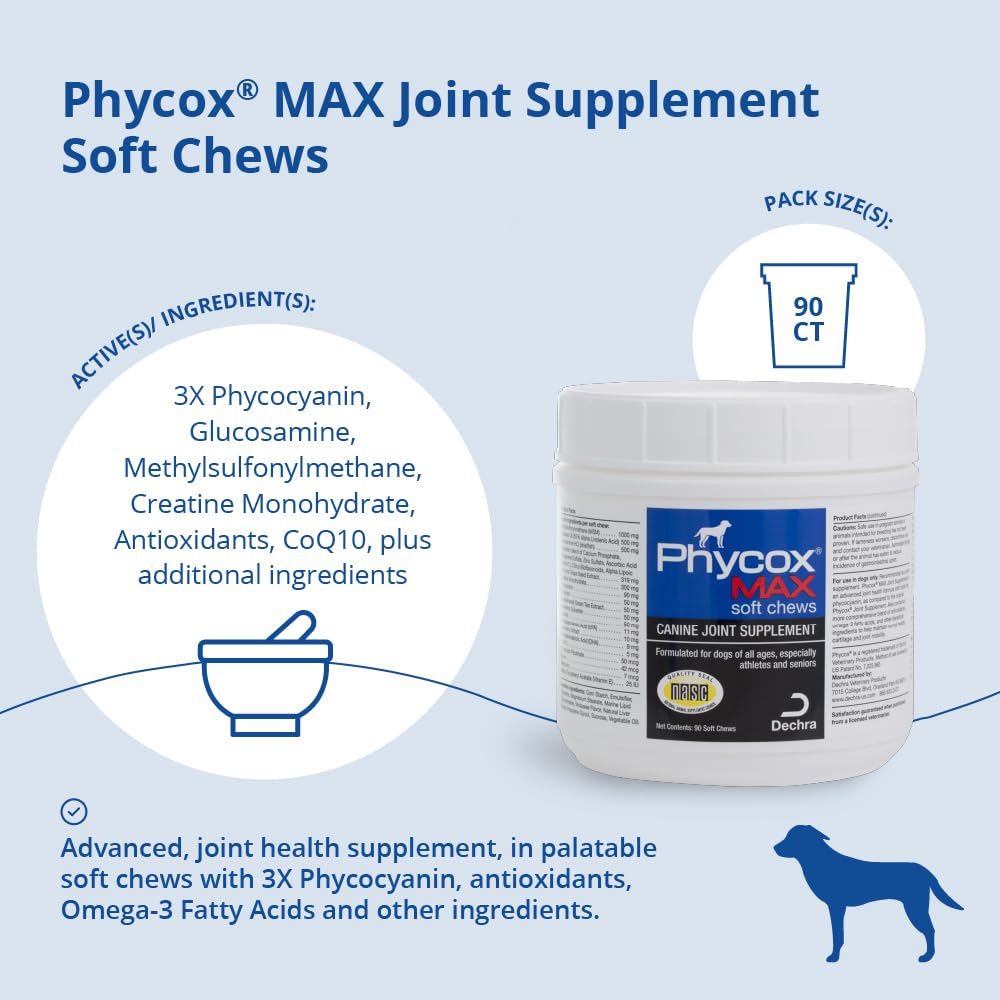 Joint Supplement Soft Chews for Dogs, 90 Chews X9920