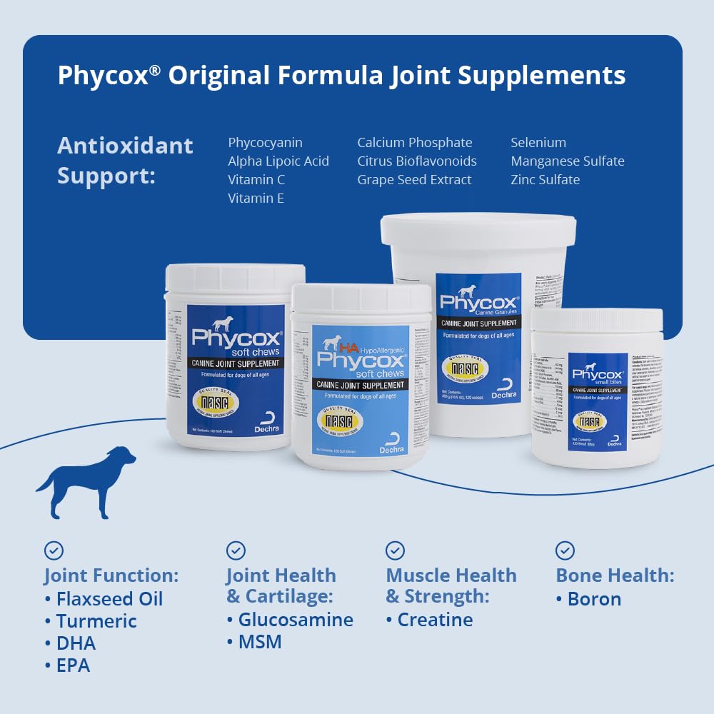 Joint Supplement Soft Chews for Dogs, 90 Chews X9920