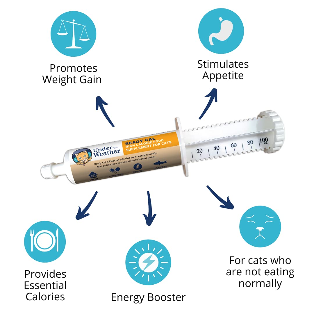 High Calorie Cat Supplement with Vitamins Minerals Omega Fatty Acids T5734