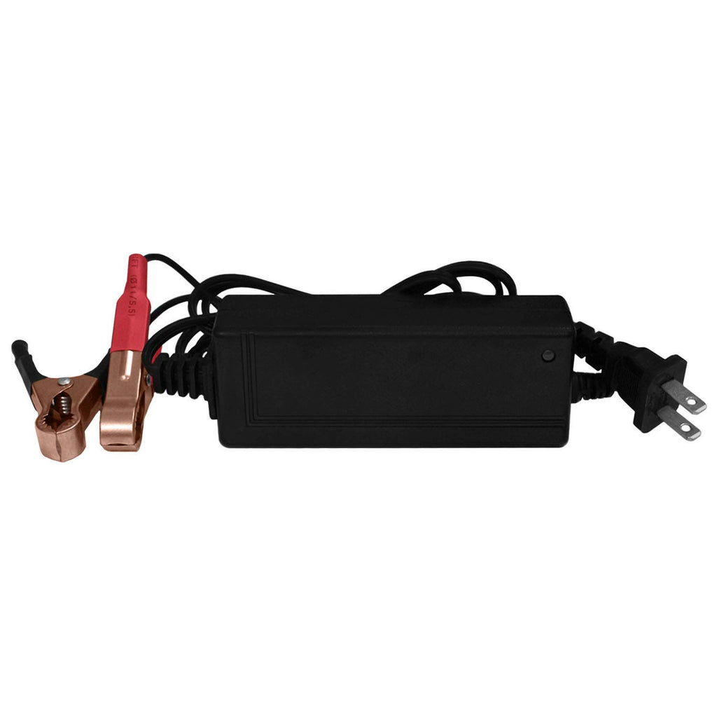 12V Battery with 2Amp Charger A9827