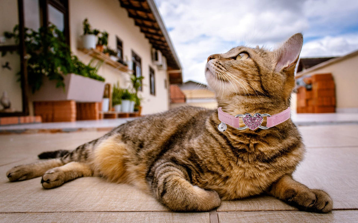 Pink Cat Collar with Safety Belt and Bell E870