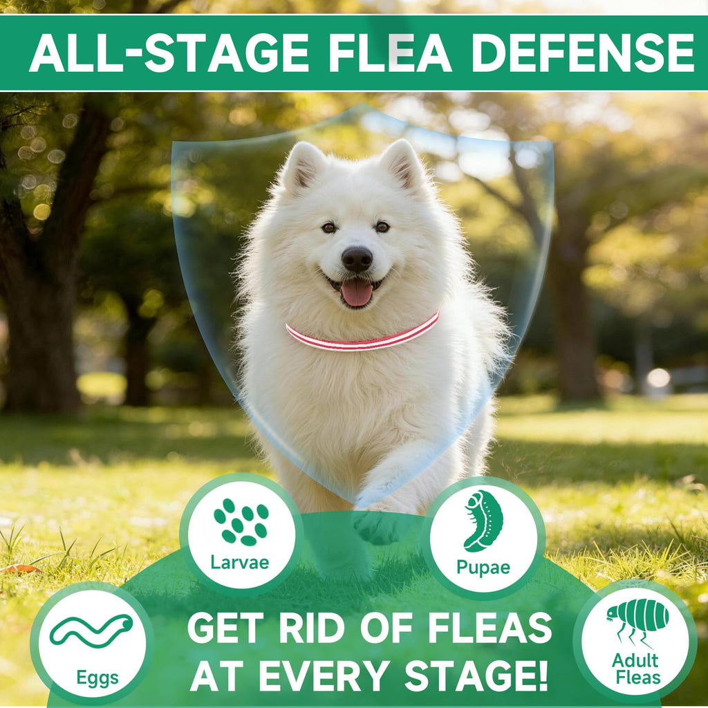 4 Pack Flea and Tick Collar for Dogs K583440