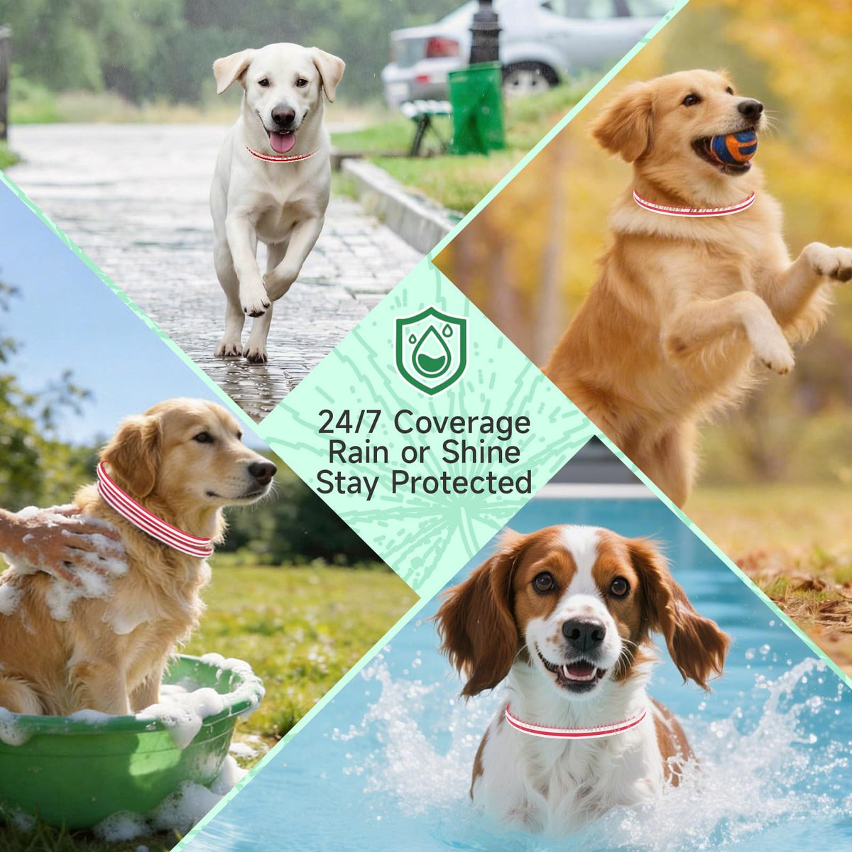 4 Pack Flea and Tick Collar for Dogs K583440