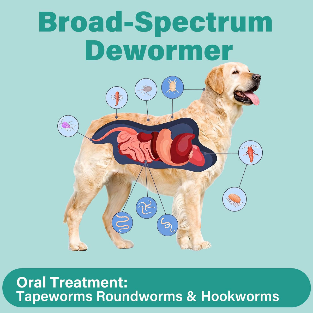 Large Dog & Puppy Oral Worm Remover 50 Tablets R584697