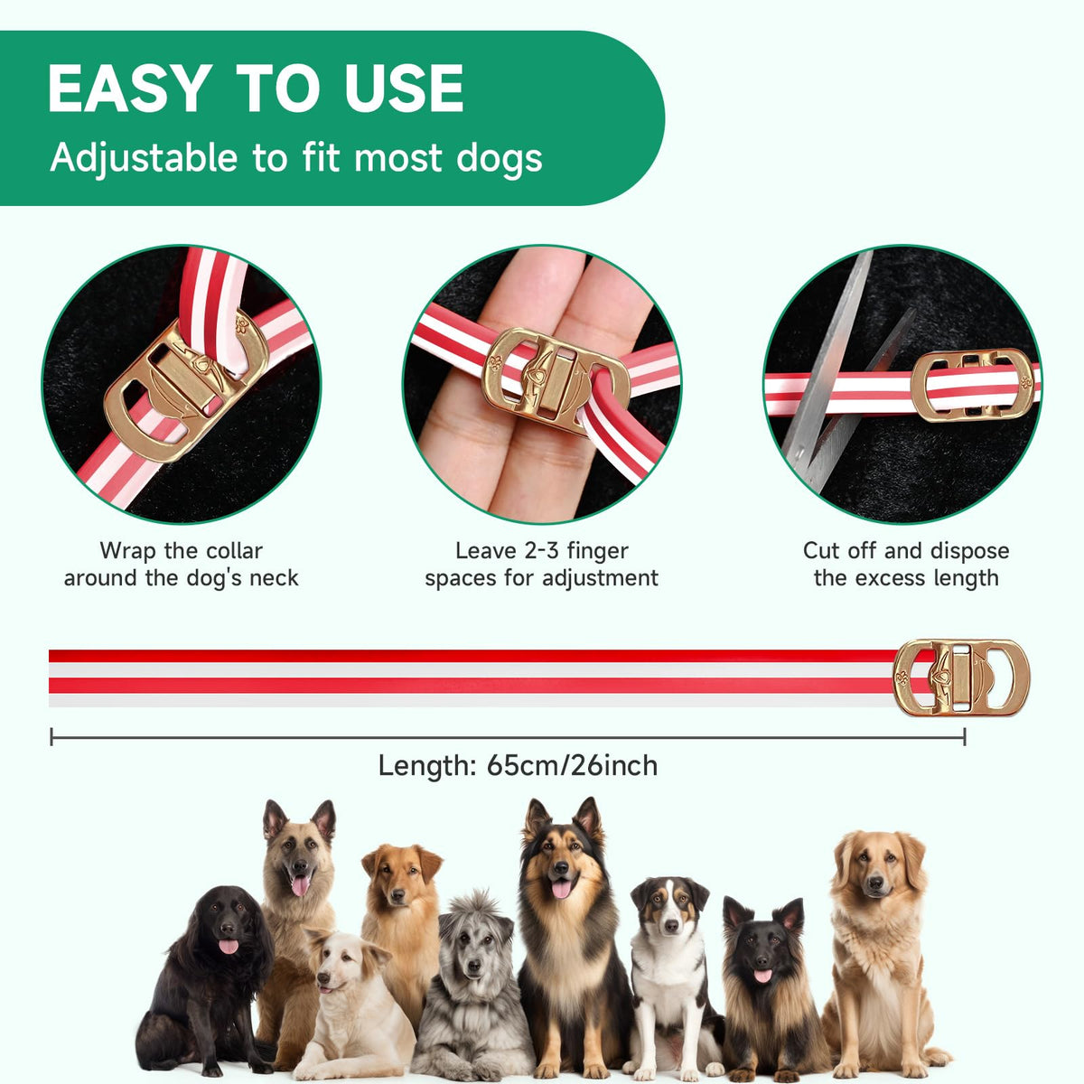 4 Pack Flea and Tick Collar for Dogs K583440