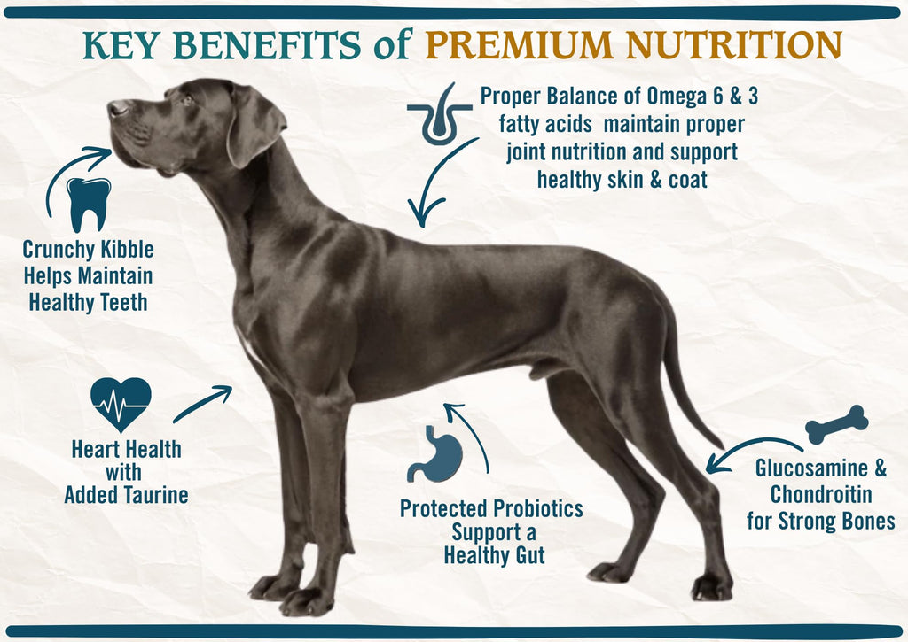 Large Breed Adult Dry Dog Food Chicken Brown Rice Turkey 28lb W1260