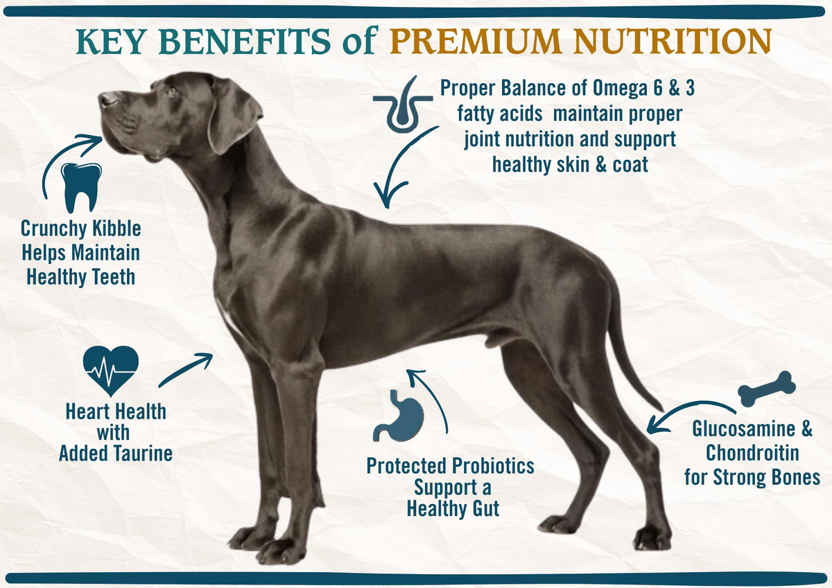 Large Breed Adult Dry Dog Food Chicken Brown Rice Turkey 28lb W1260