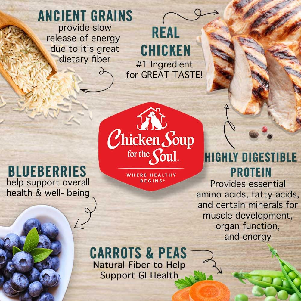 Large Breed Adult Dry Dog Food Chicken Brown Rice Turkey 28lb W1260