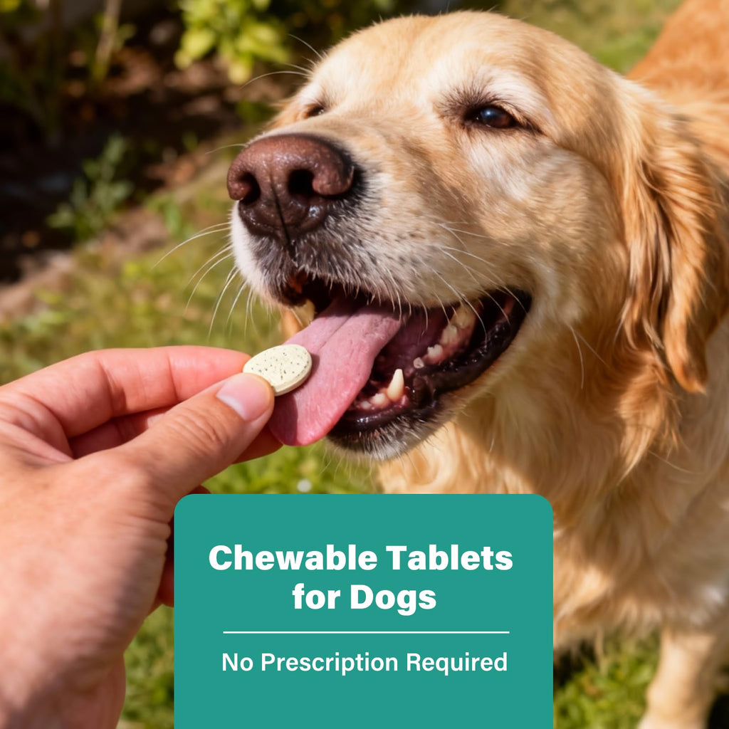 Large Dog & Puppy Oral Worm Remover 50 Tablets R584697