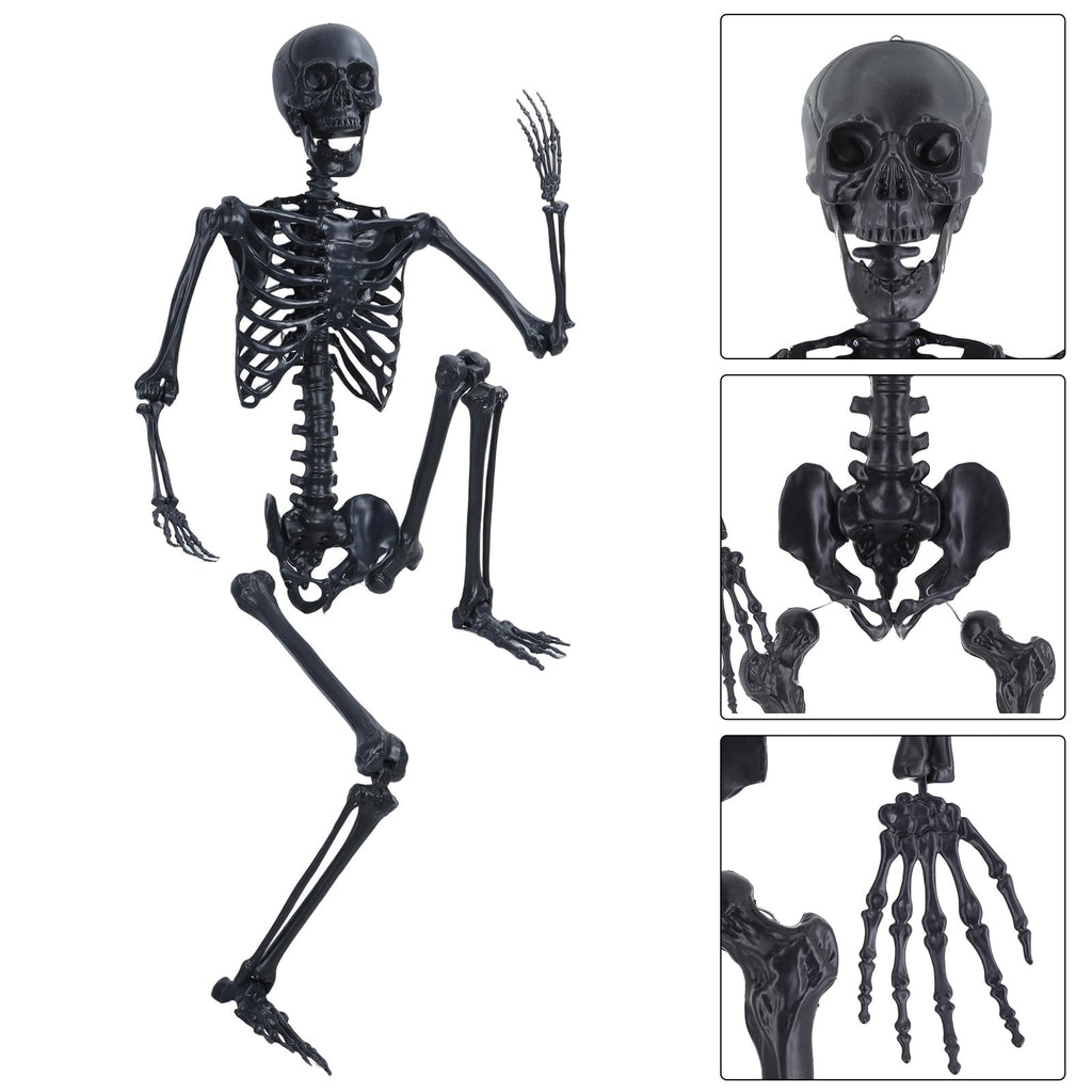 Life Size Posable Plastic Skeleton K3406