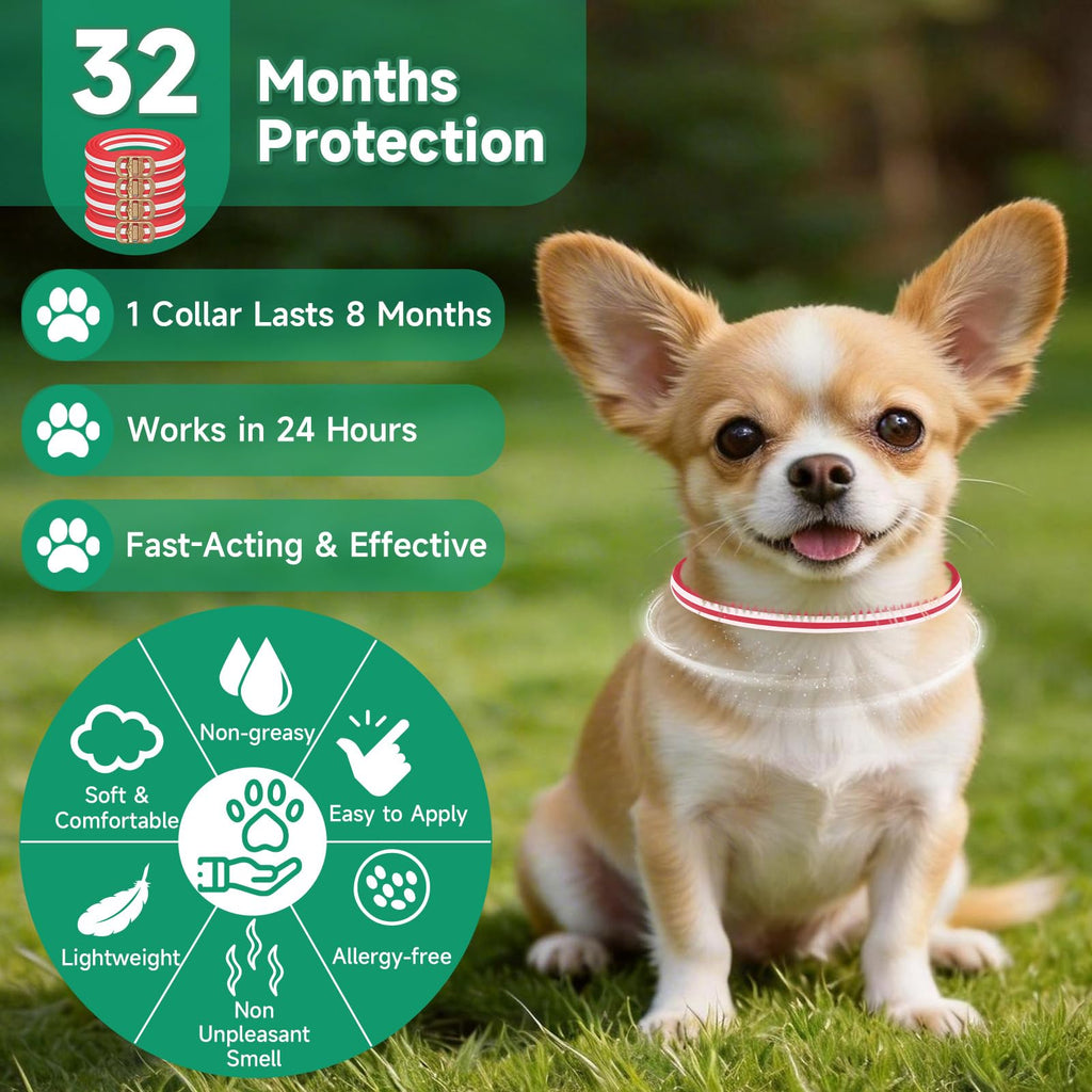 4 Pack Flea and Tick Collar for Dogs K583440