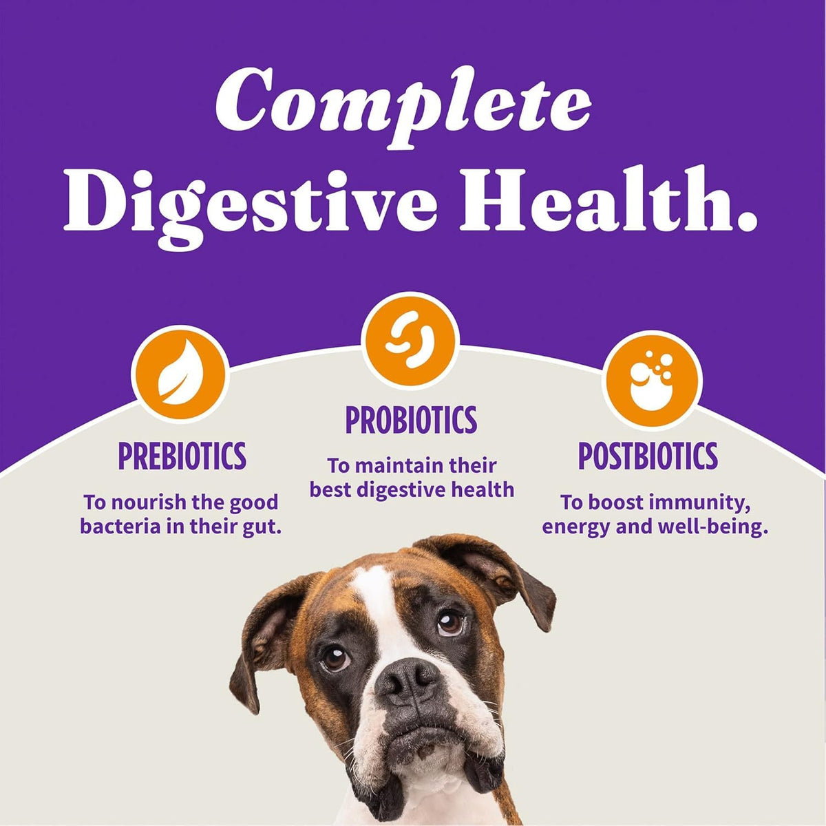 Dry Dog Food, Cage-Free Chicken & Brown Rice Recipe, 21 lb Q360962