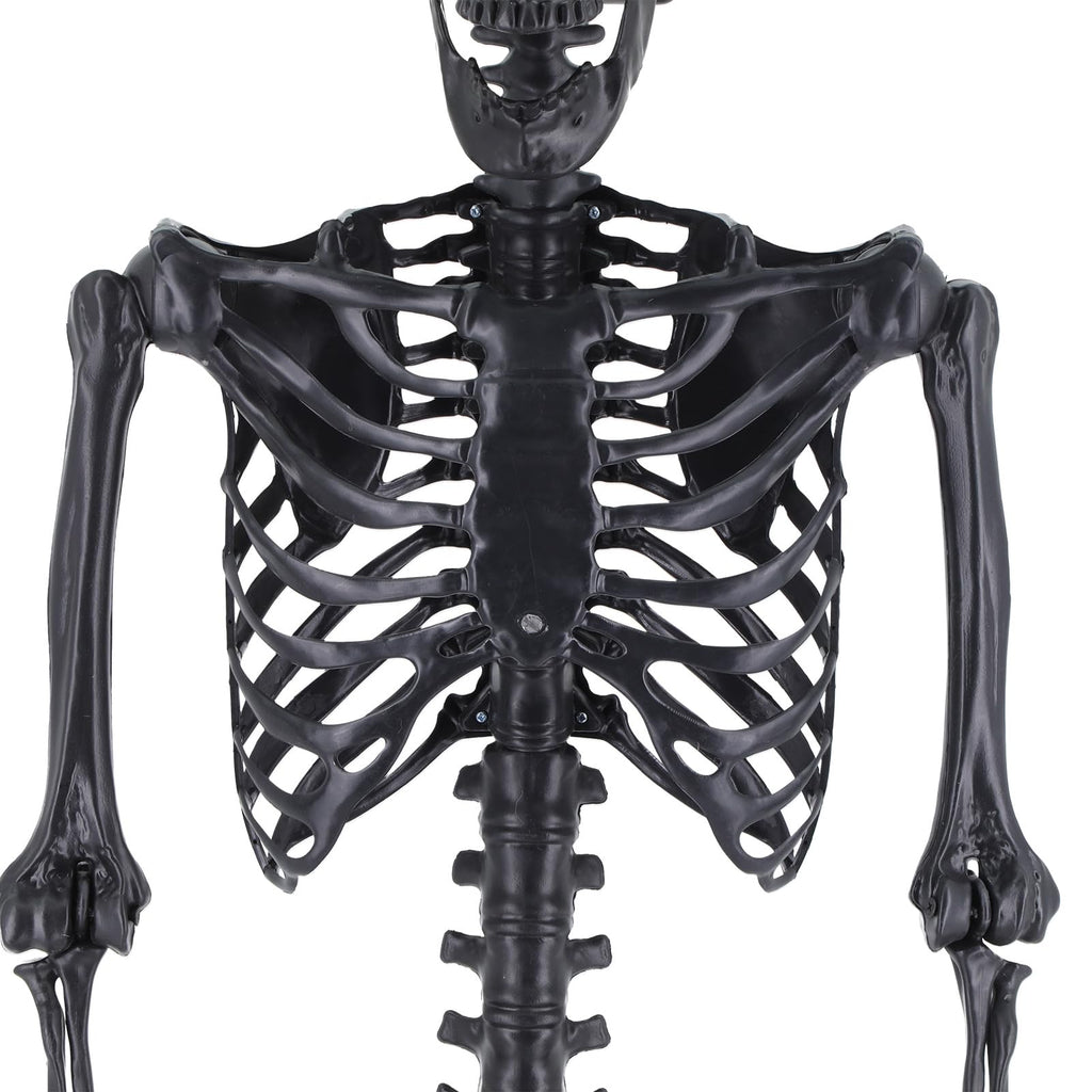 Life Size Posable Plastic Skeleton K3406