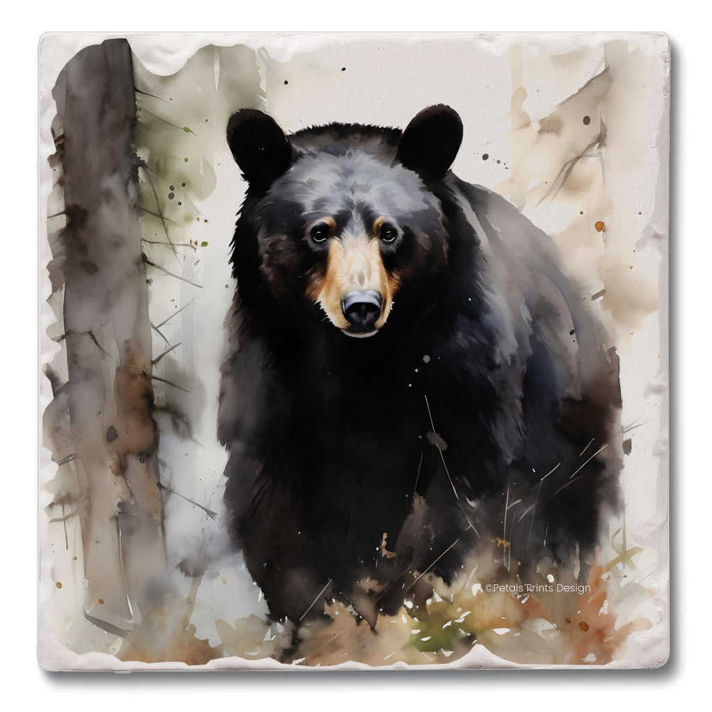 Black Bear Coasters D297