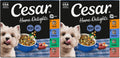 Adult Wet Dog Food Variety Pack 3.5 oz 24 Count X6552