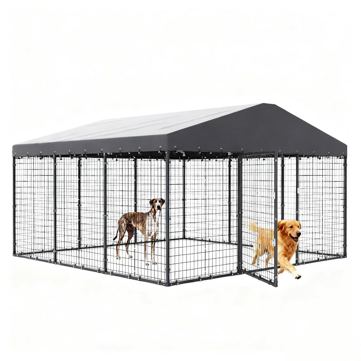 10 x 10 x 6 FT Outdoor Dog Kennel H2442