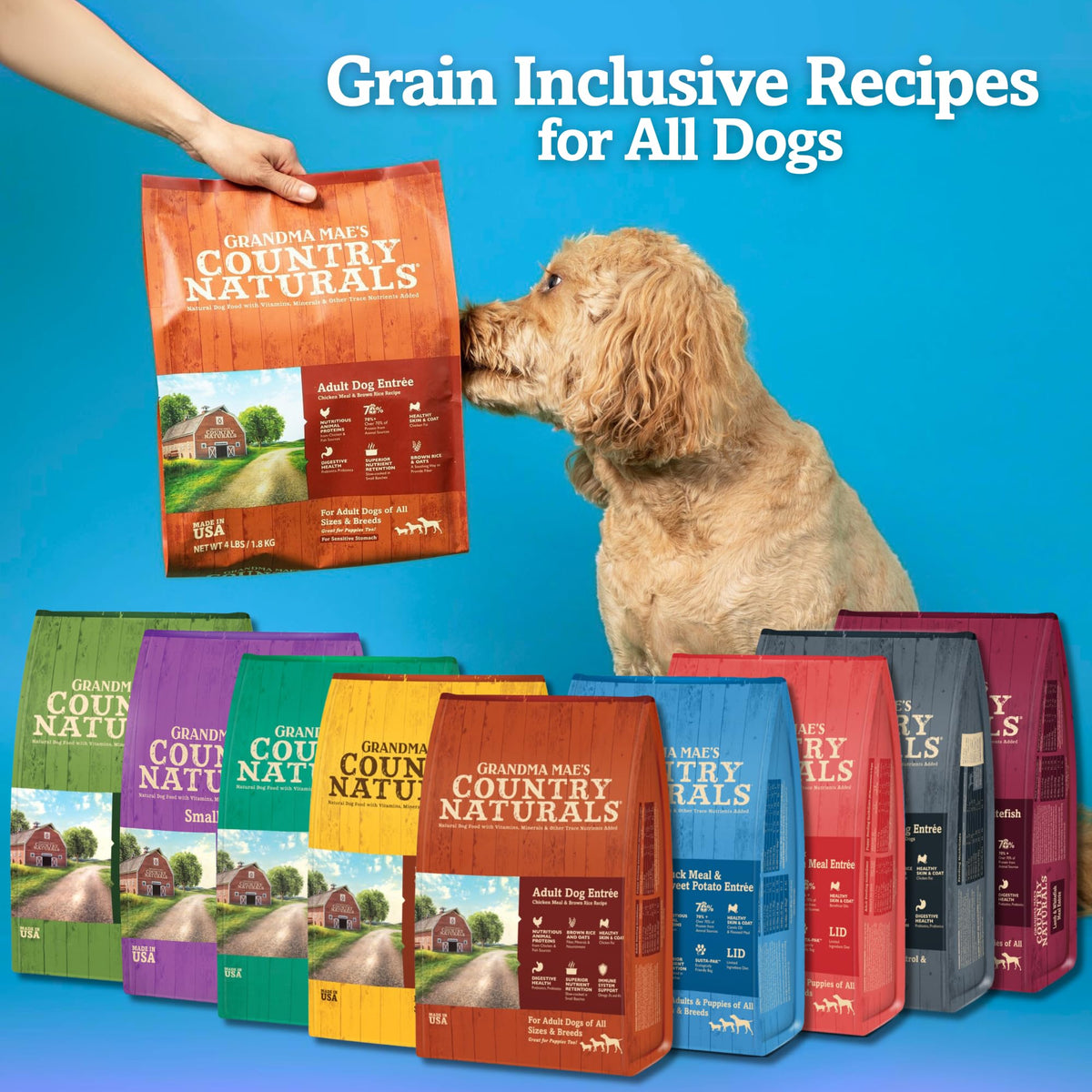 Chicken & Brown Rice Dry Dog Food 12 LB Bag C627