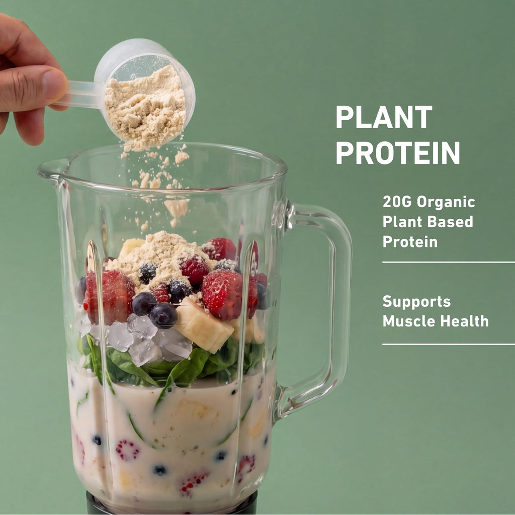 Plant-Based Protein Powder 20g Pea and Rice Protein Unflavored 20 Servings R299