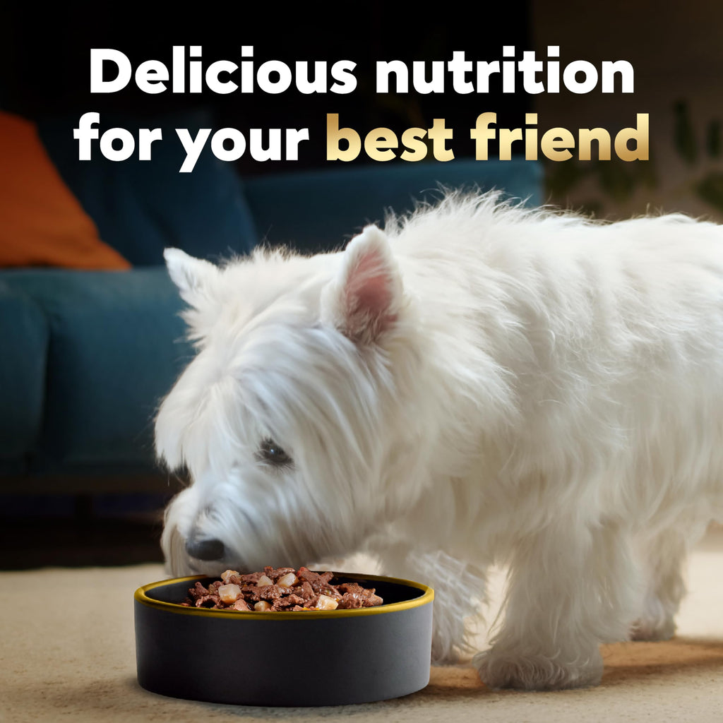 Adult Wet Dog Food Variety Pack 3.5 oz 24 Count X6552