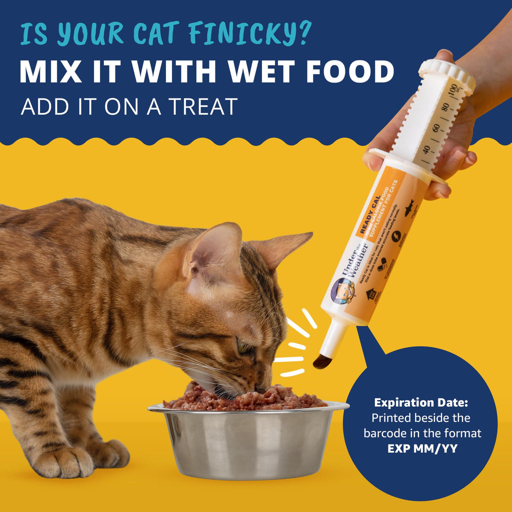 High Calorie Cat Supplement with Vitamins Minerals Omega Fatty Acids T5734