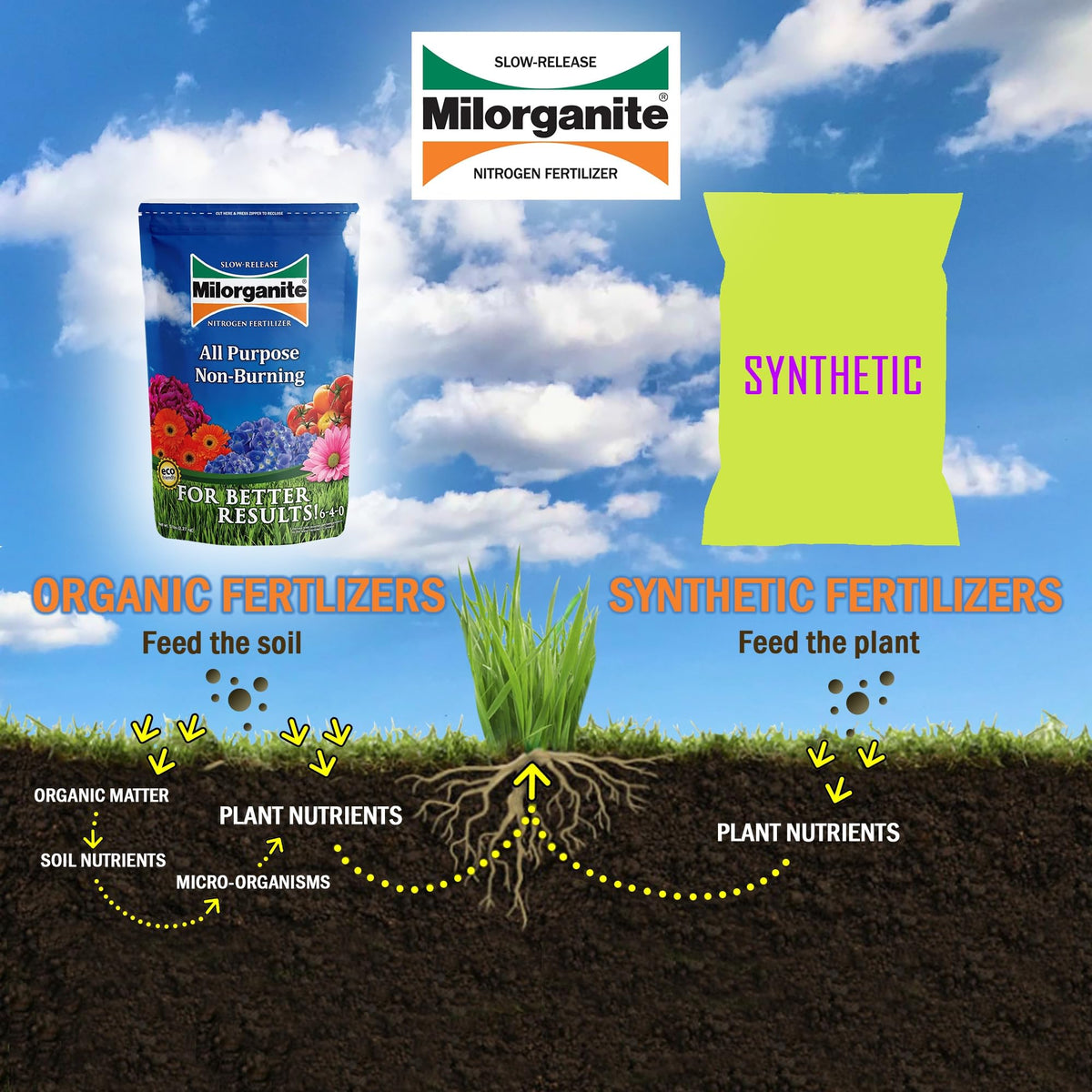 Slow-Release Nitrogen 6-4-0 Fertilizer, 5 Pound Bag (Pack of 4) N33718