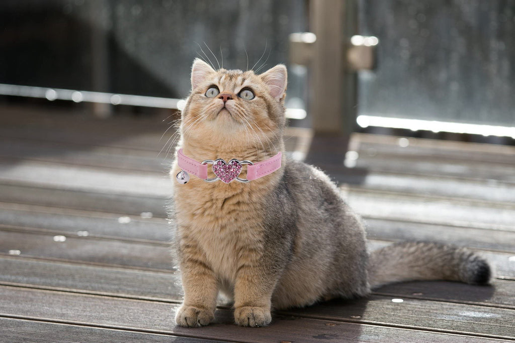 Pink Cat Collar with Safety Belt and Bell E870