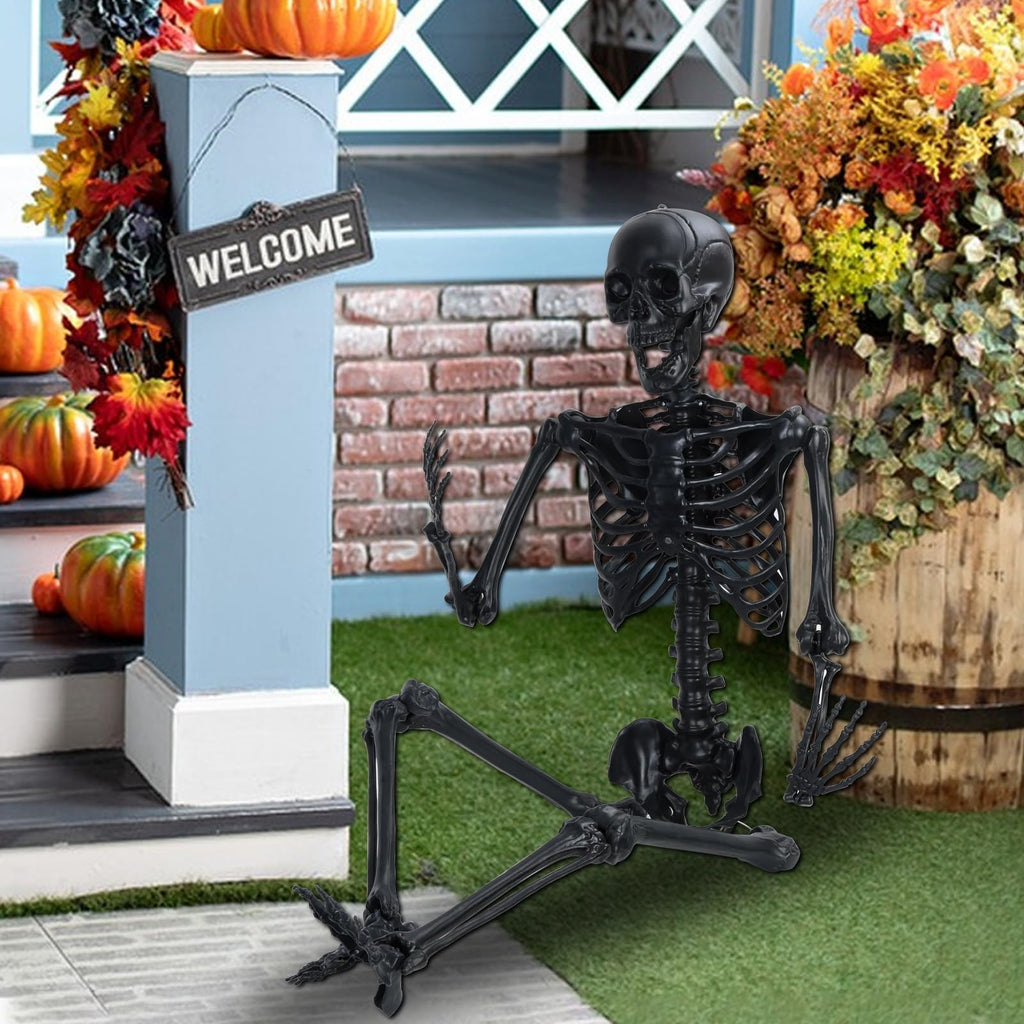 Life Size Posable Plastic Skeleton K3406