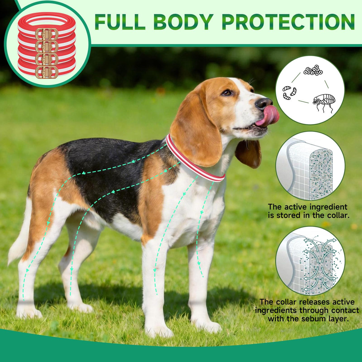 4 Pack Flea and Tick Collar for Dogs K583440