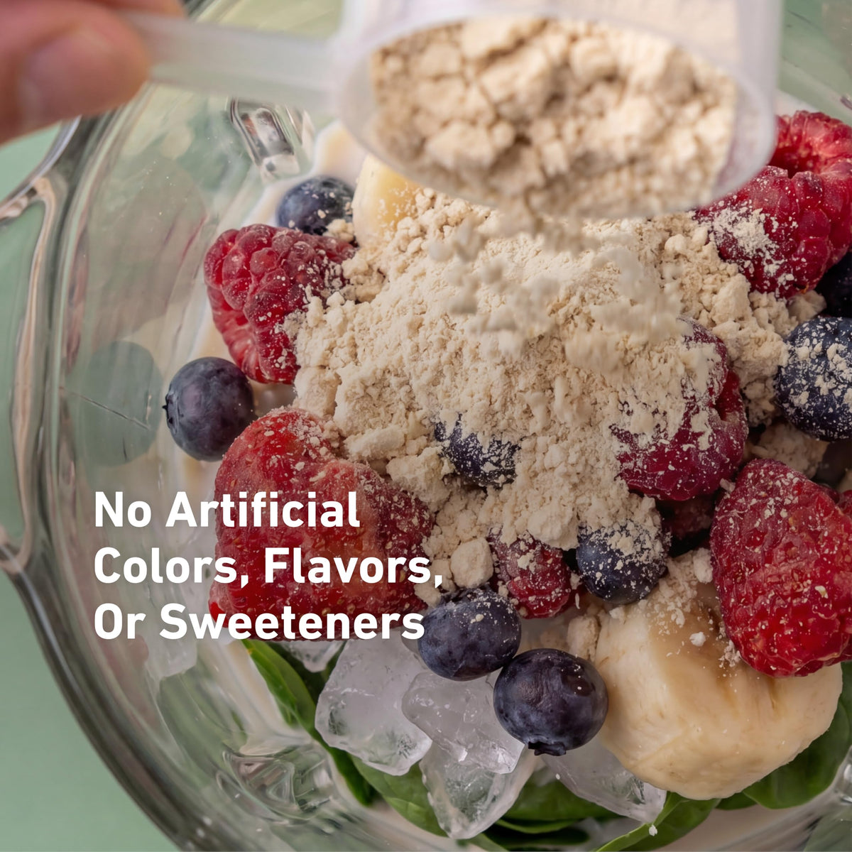 Plant-Based Protein Powder 20g Pea and Rice Protein Unflavored 20 Servings R299