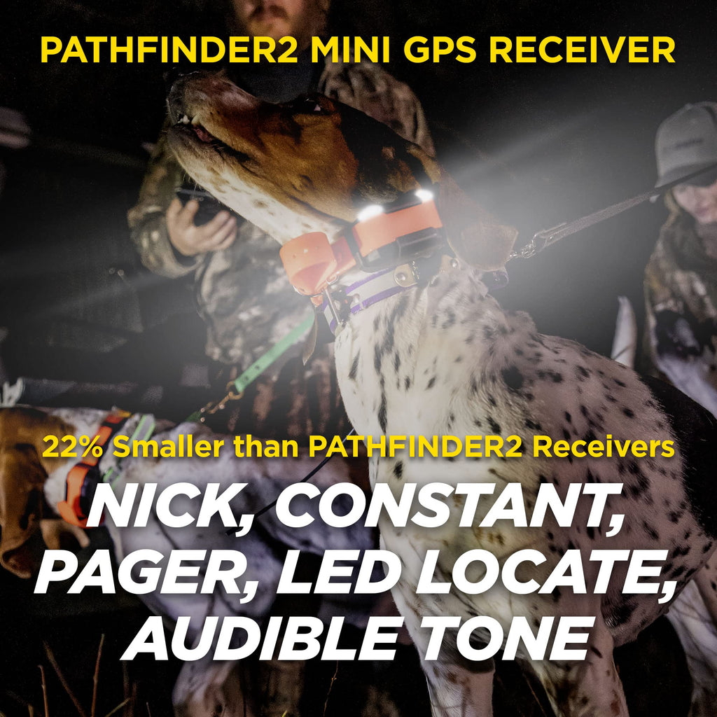 Rechargeable GPS Training Collar with Remote M442