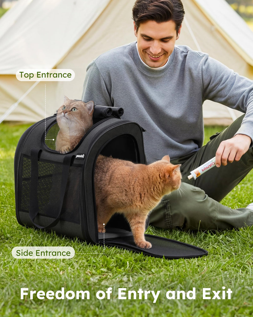 Dark Grey Cat Backpack with Breathable Mesh V27228