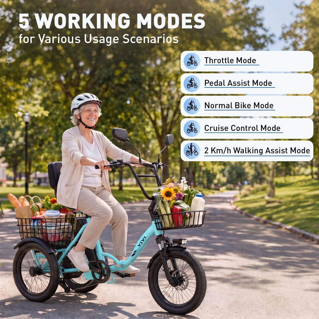 Folding Electric Tricycle 1000W 48V 18" Tire D17126