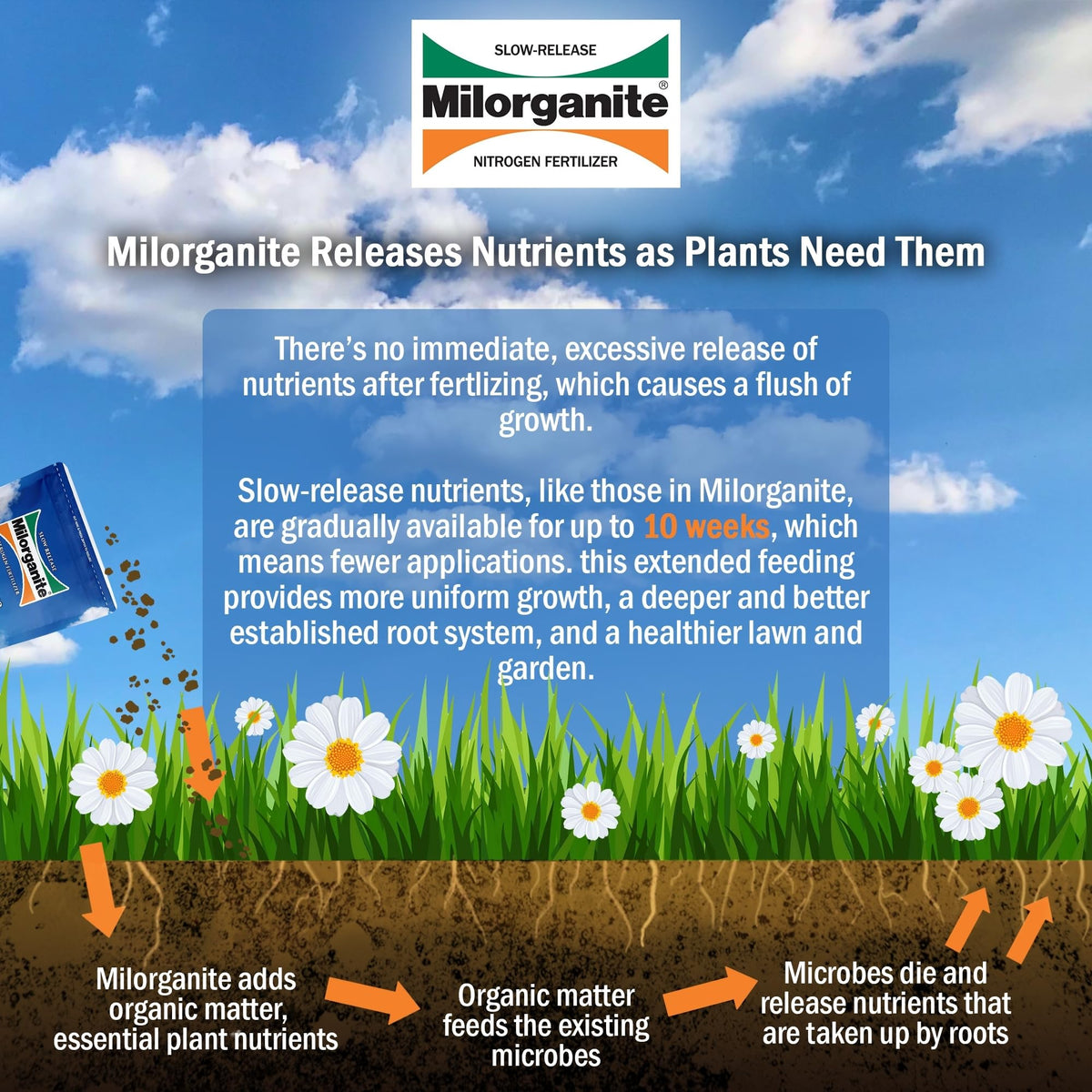 Slow-Release Nitrogen 6-4-0 Fertilizer, 5 Pound Bag (Pack of 4) N33718