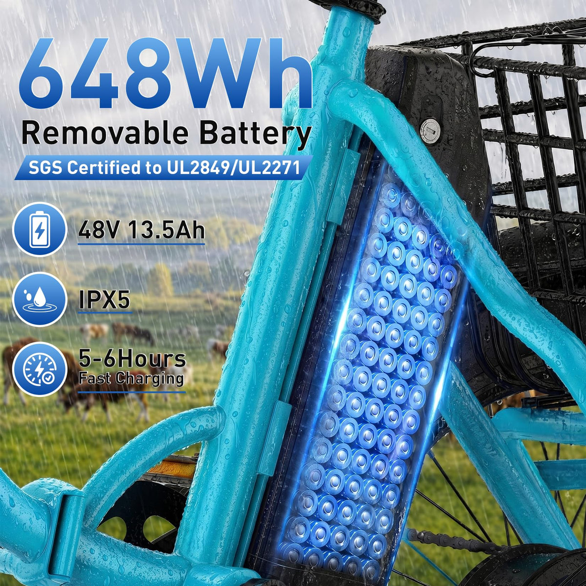 Folding Electric Tricycle 1000W 48V 18" Tire D17126