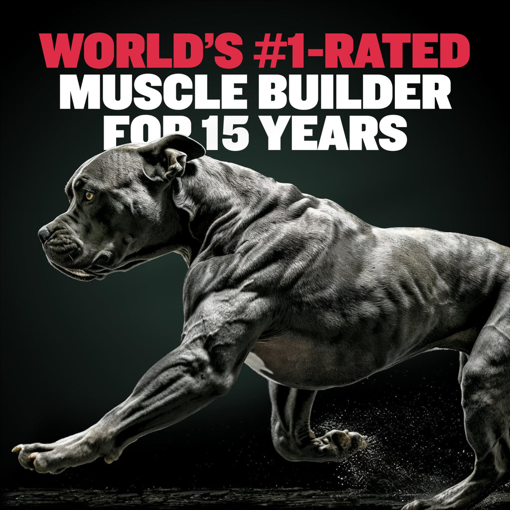 Dog Weight Gainer Chews & Muscle Builder Tablets & Liquid Muscle Builder Supplement H1981