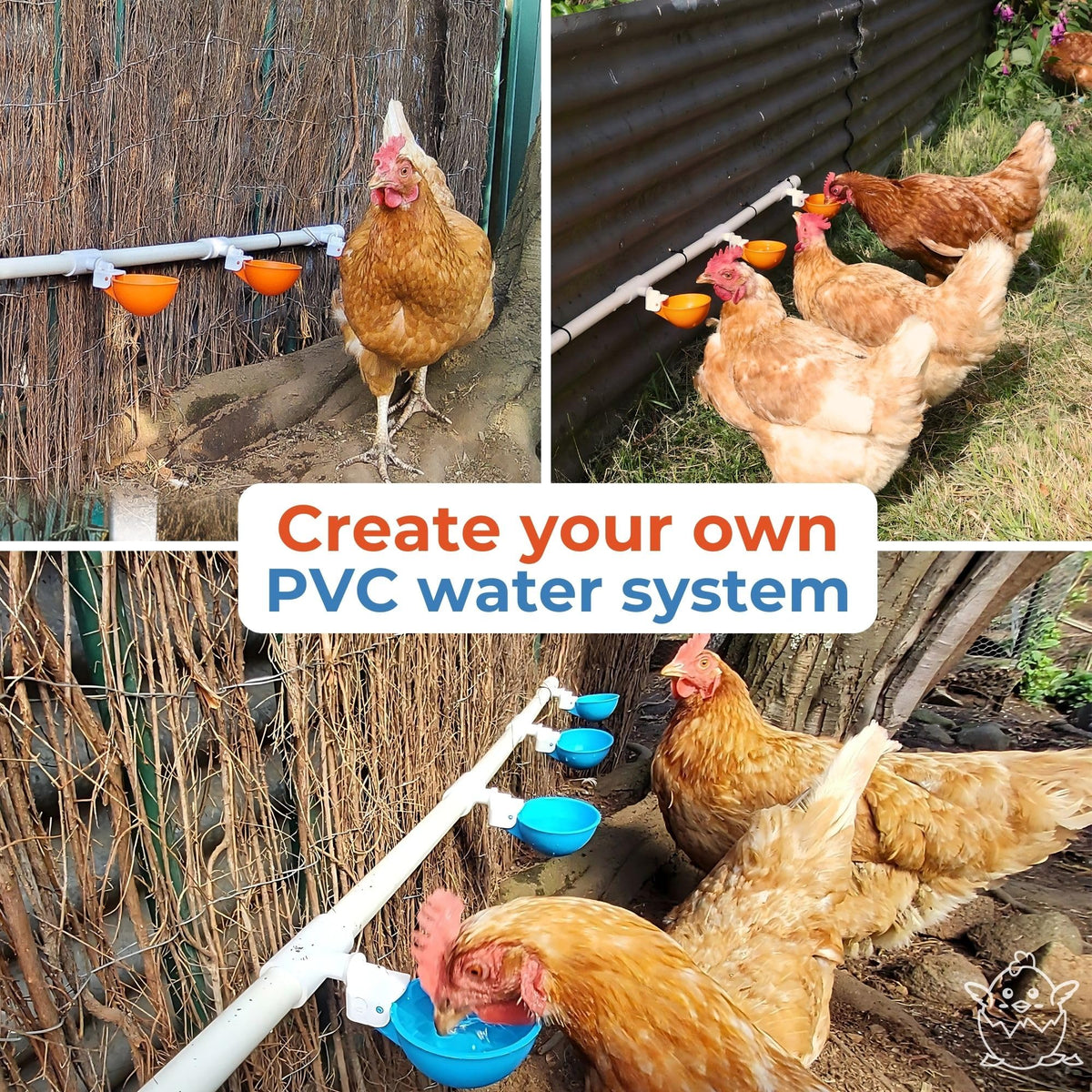 Large Automatic Chicken Waterer Cups with 1/2" PVC Tee Fittings 5-Pack A8488