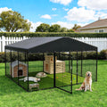 10 x 10 x 6 FT Outdoor Dog Kennel H2442
