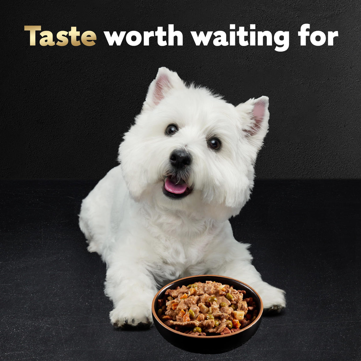 Adult Wet Dog Food Variety Pack 3.5 oz 24 Count X6552