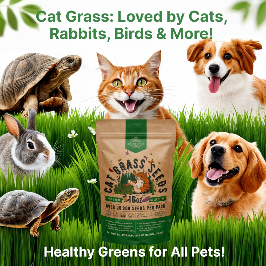 Cat Grass Seeds Mix 16 oz Non-GMO Heirloom L480142