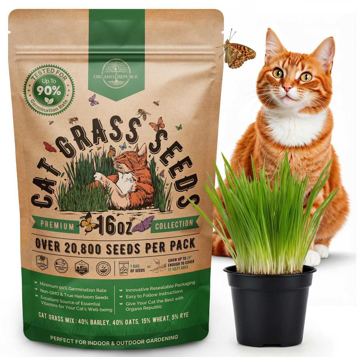 Cat Grass Seeds Mix 16 oz Non-GMO Heirloom L480142