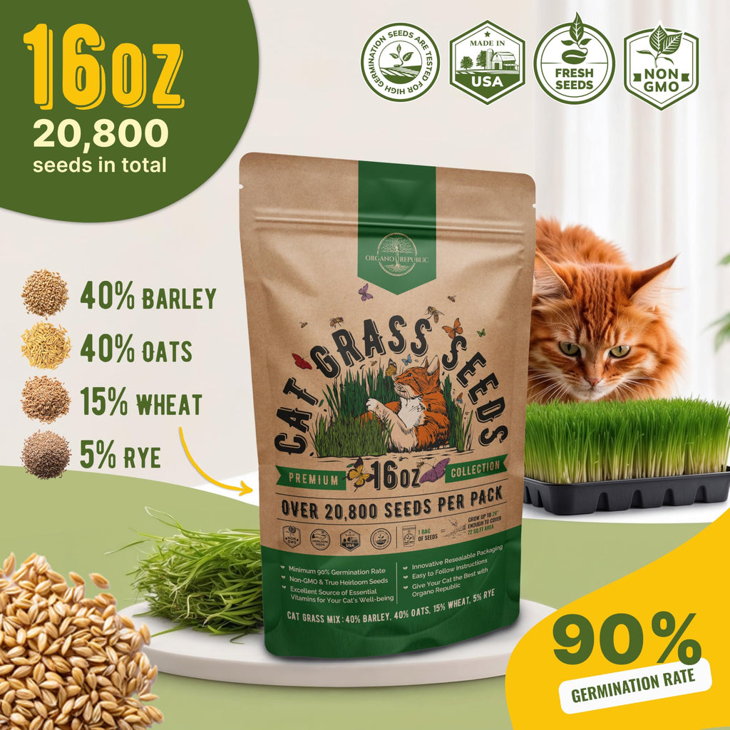 Cat Grass Seeds Mix 16 oz Non-GMO Heirloom L480142
